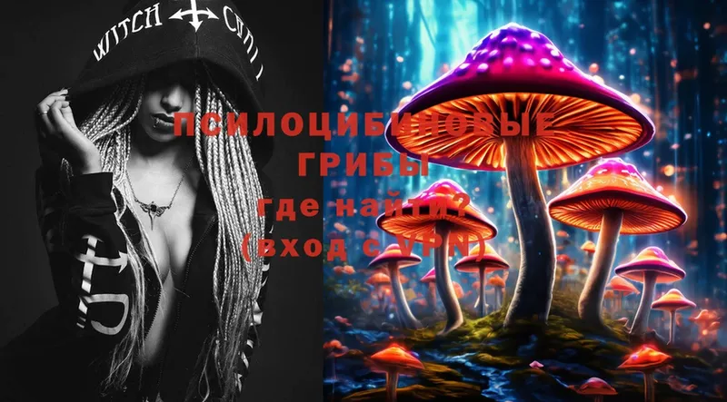 магазин    Бавлы  Псилоцибиновые грибы MAGIC MUSHROOMS 